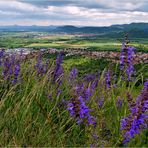 Blick vom Teckberg 2