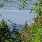 Blick vom Tegelberg auf den Forggensee