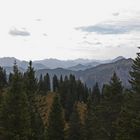 Blick vom Tegelberg in die Alpen