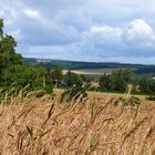 Blick vom Teichbachsteig