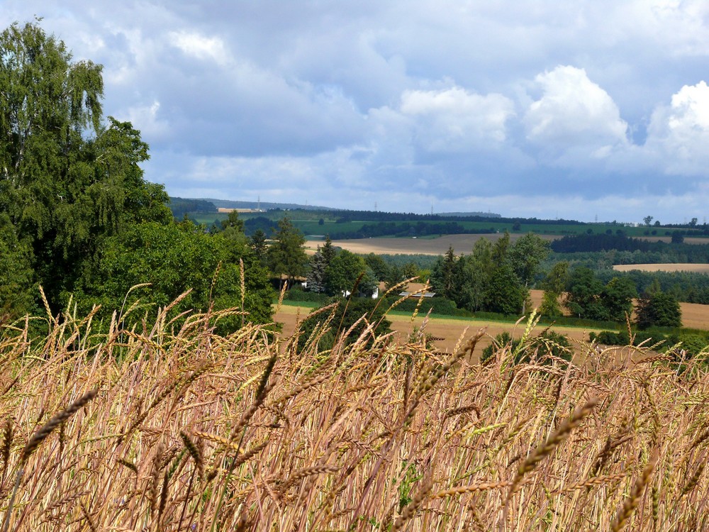 Blick vom Teichbachsteig