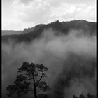 Blick vom Teichstein (Sächsische Schweiz)