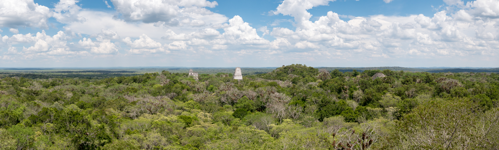 Blick vom Tempel IV