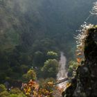 Blick vom Teufelsloch runter auf die Ahr