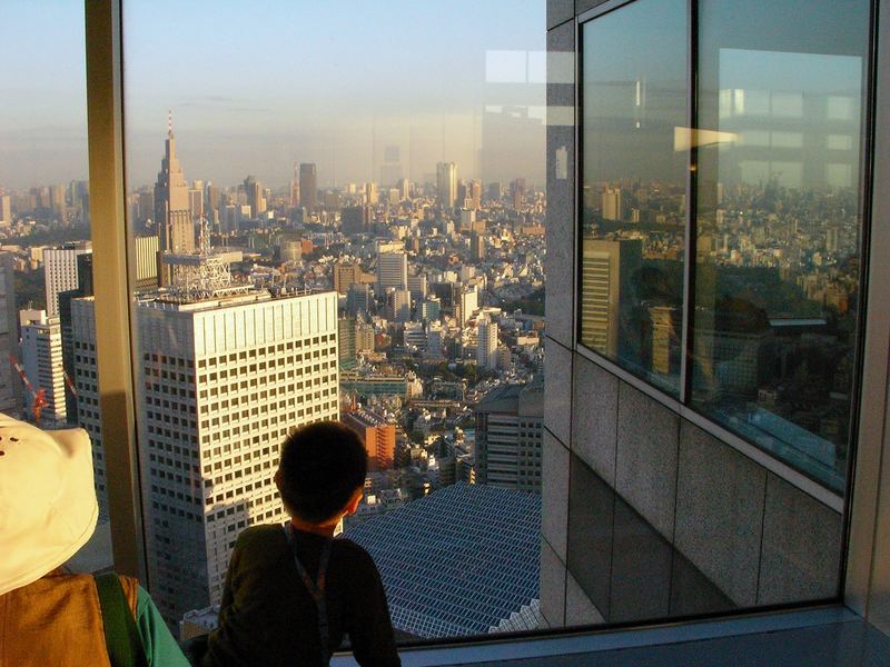 Blick vom TMG Südturm zur Tokyo-Bay