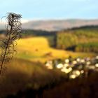 Blick vom Treisberg