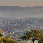 Blick vom Tüllinger nach Basel