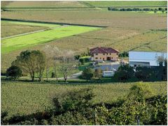 Blick vom Tuniberg im Breisgau 3