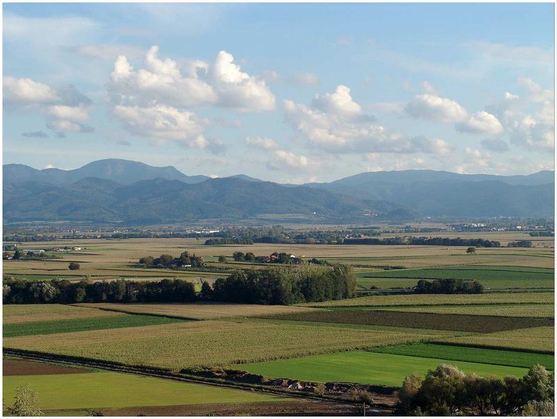 Blick vom Tuniberg im Breisgau