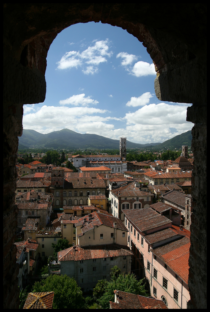 Blick vom Turm des Palazzo Guinigi