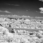 Blick vom Turmberg Richtung Schwarzwald