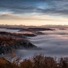 Blick vom Uetliberg, Zu?rich 