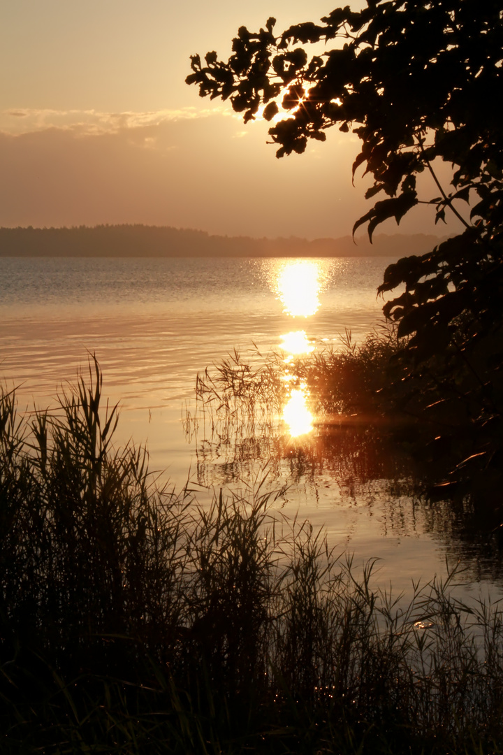 Blick vom Ufer  -  view from shoreline