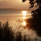 Blick vom Ufer  -  view from shoreline