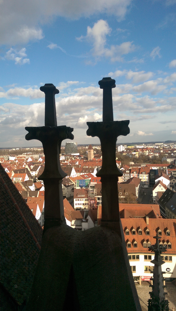 Blick vom Ulmer Münster