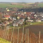 Blick vom unteren Weinbergsweg