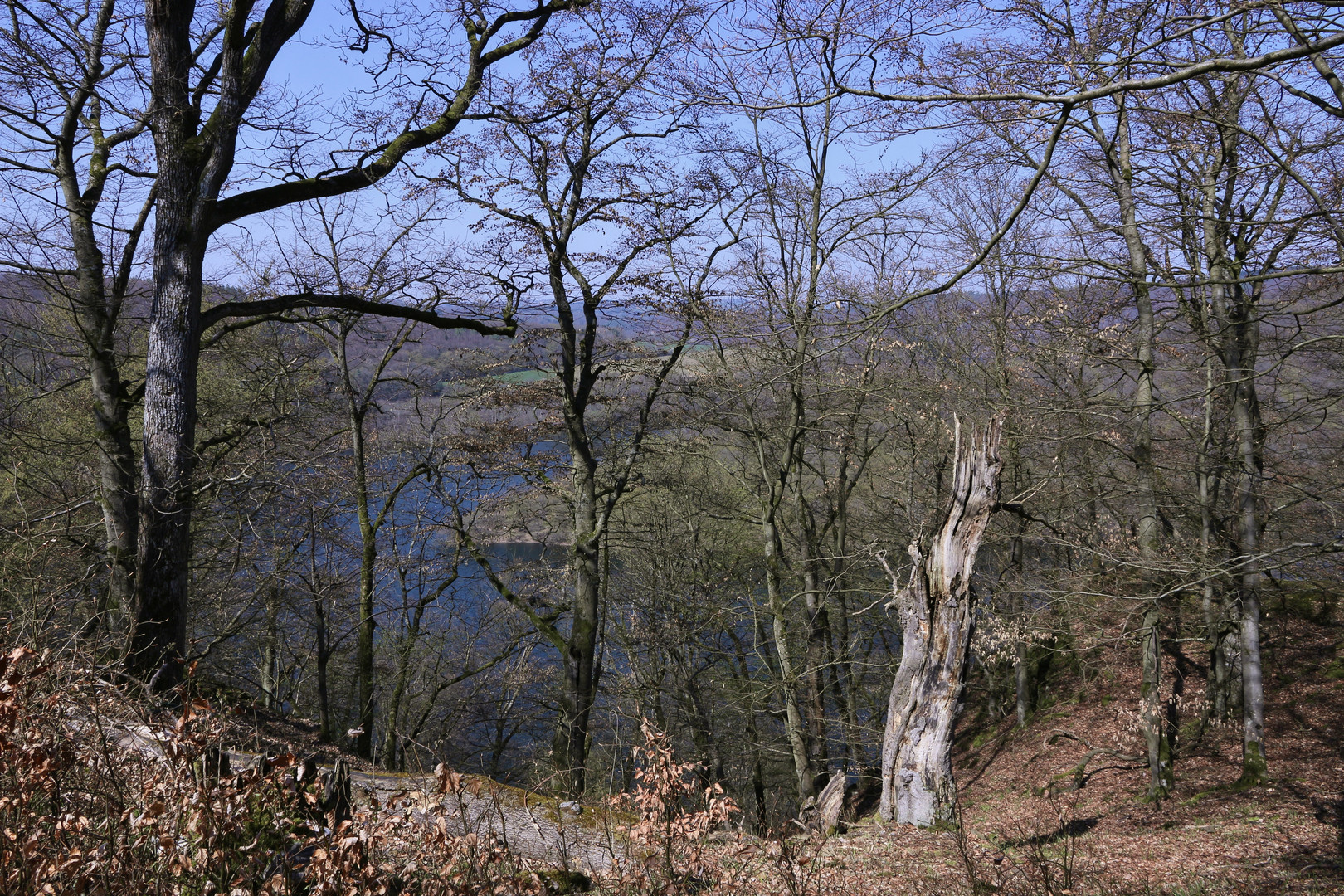 Blick vom Urwaldsteig auf den Edersee (2019_04_16_EOS 100D_4489_ji)
