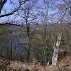 Blick vom Urwaldsteig auf den Edersee (2019_04_16_EOS 100D_4489_ji)