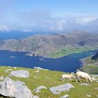 Blick vom Vestkapp in Norwegen auf Honningsvåg