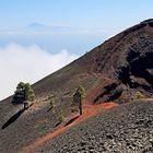 Blick vom Vulkan Martin zum Vulkan Teide