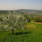 Blick vom Walberla-Aufstieg