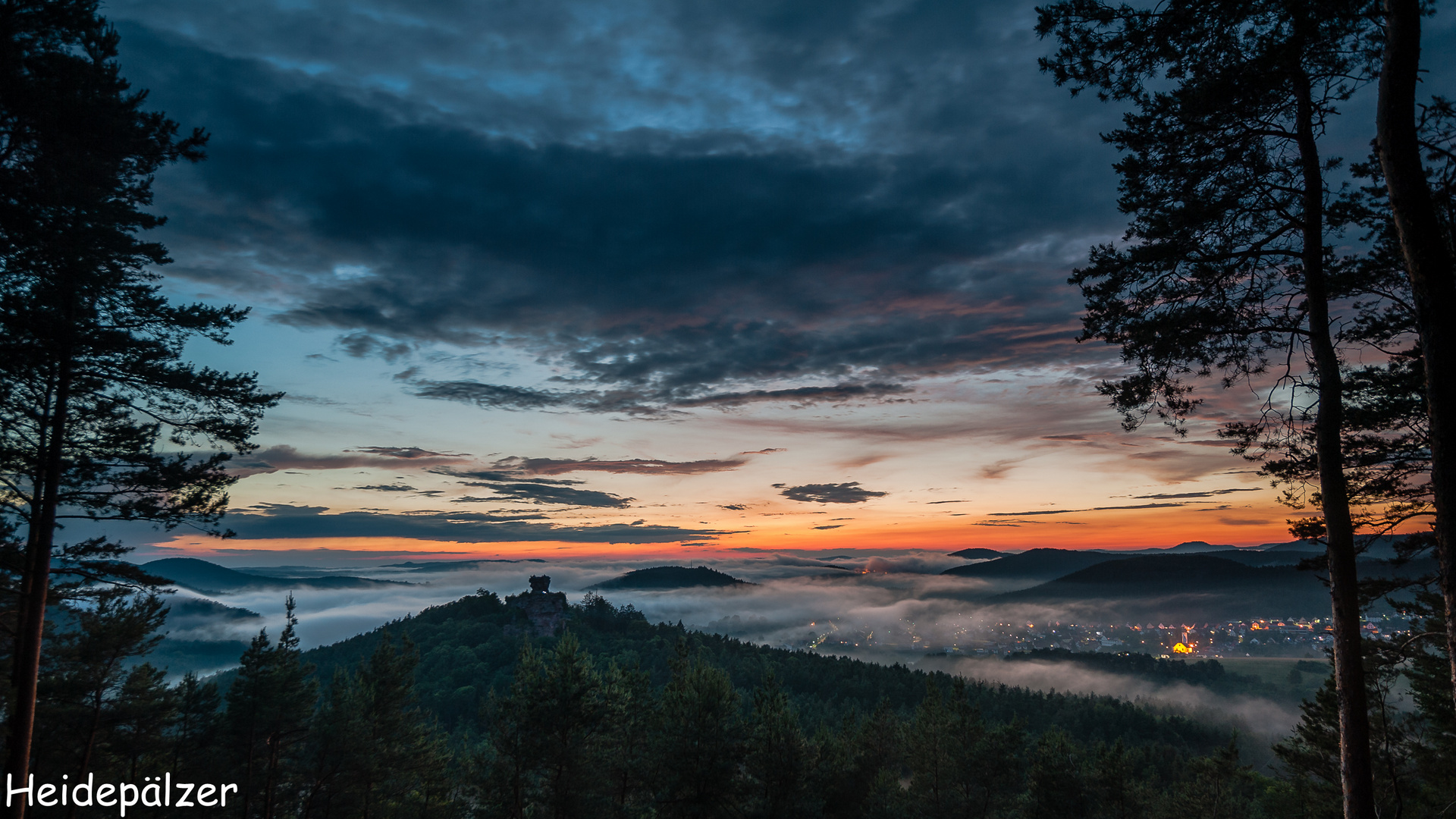 Blick vom Waldsofa