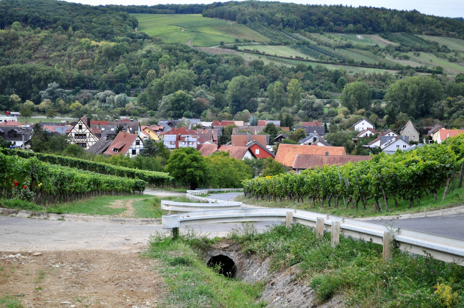 Blick vom Wanderweg der Weinberge über Sommerhausen