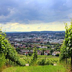 Blick vom Wartberg