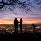 Blick vom Wartberg auf Heilbronn