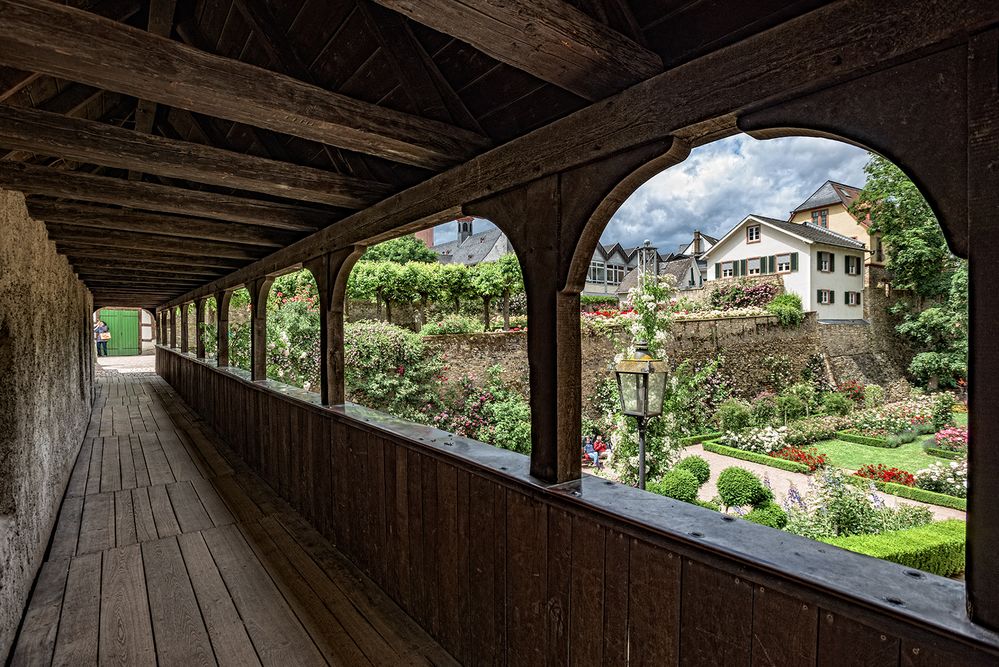 Blick vom Wehrgang in den Rosengarten....