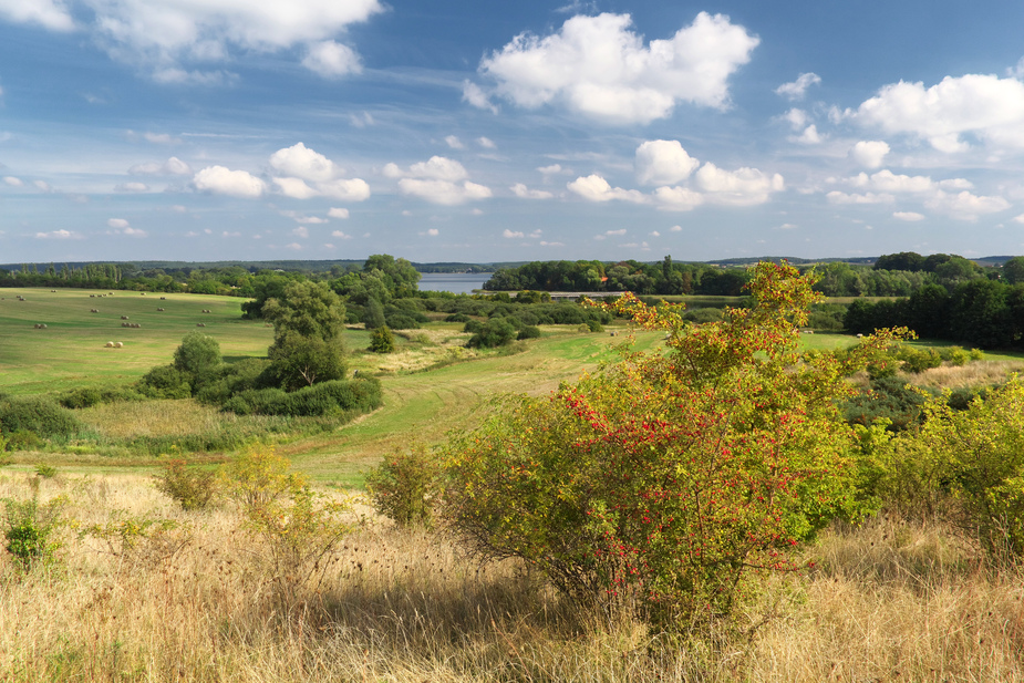 Blick vom Weinberg