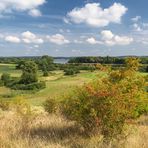 Blick vom Weinberg