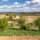 Blick vom Weinberg