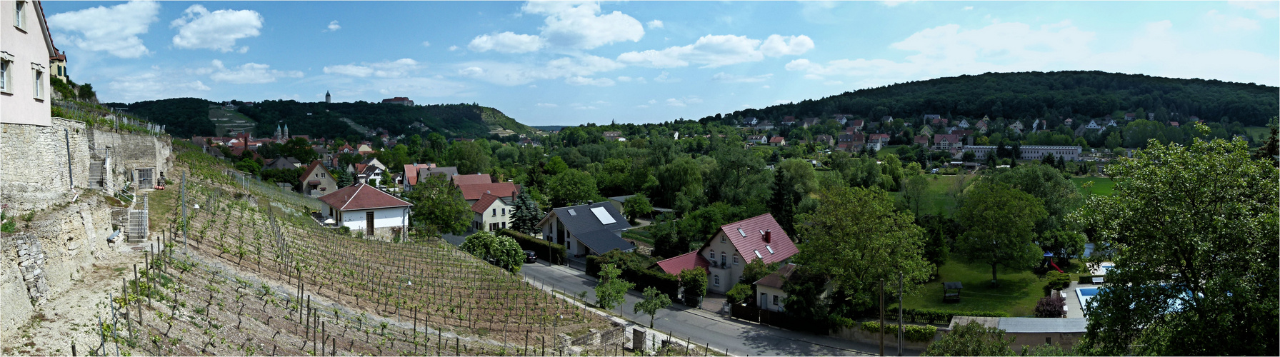 Blick vom Weinberg