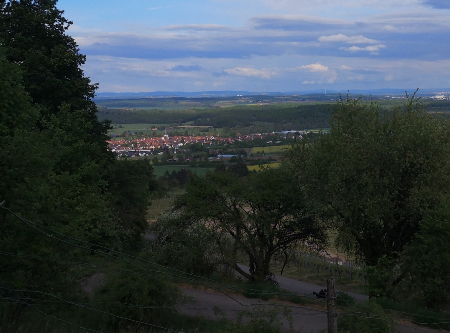 Blick vom Weinberg