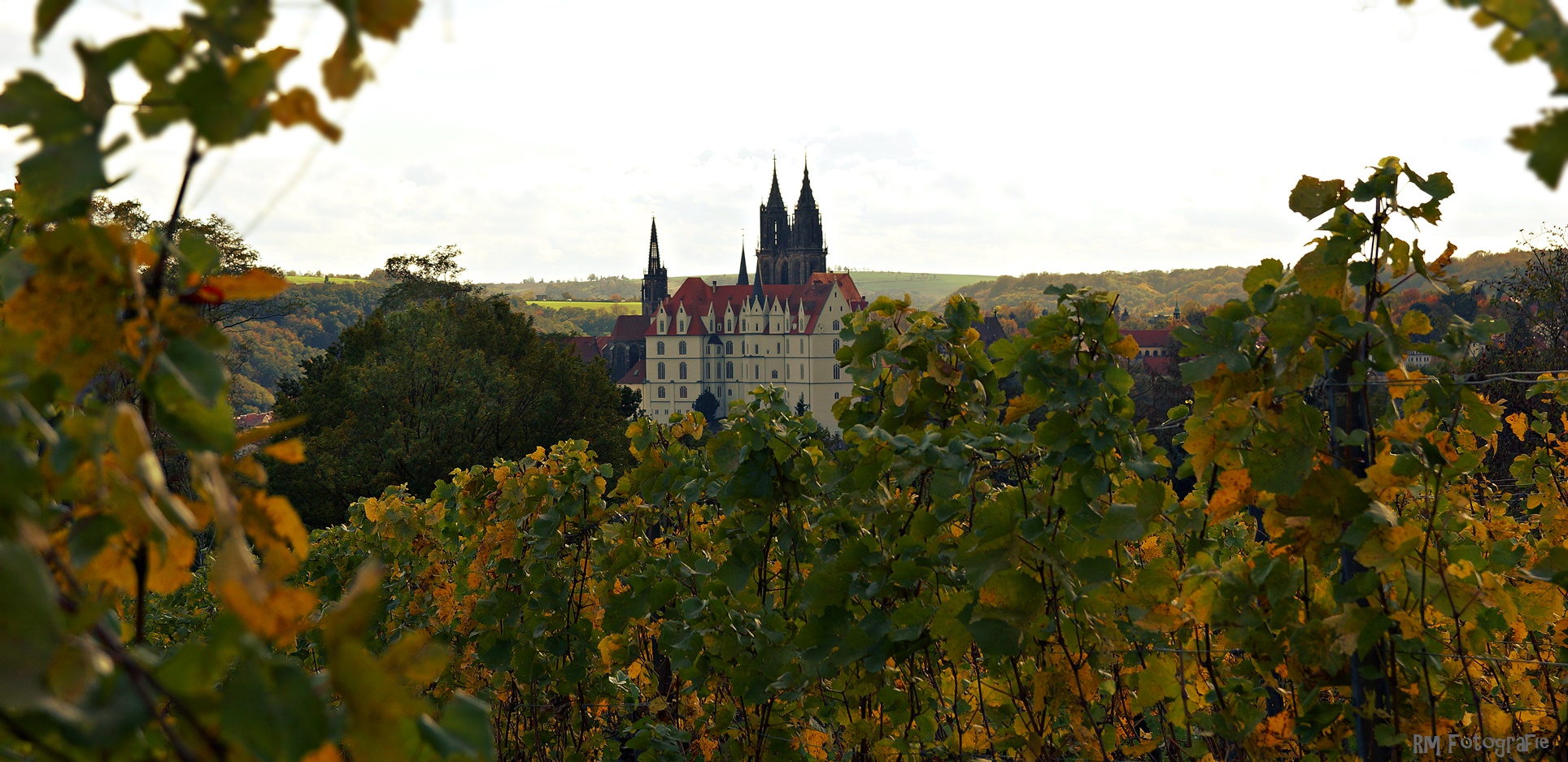 Blick vom Weinberg auf...