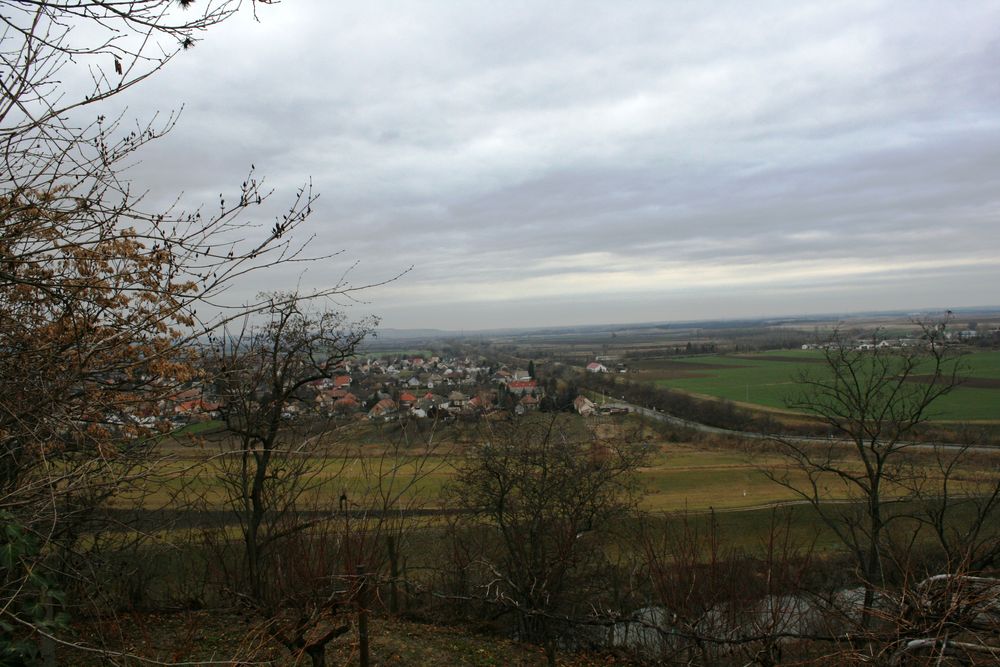 Blick vom Weinberg auf Sioagard.