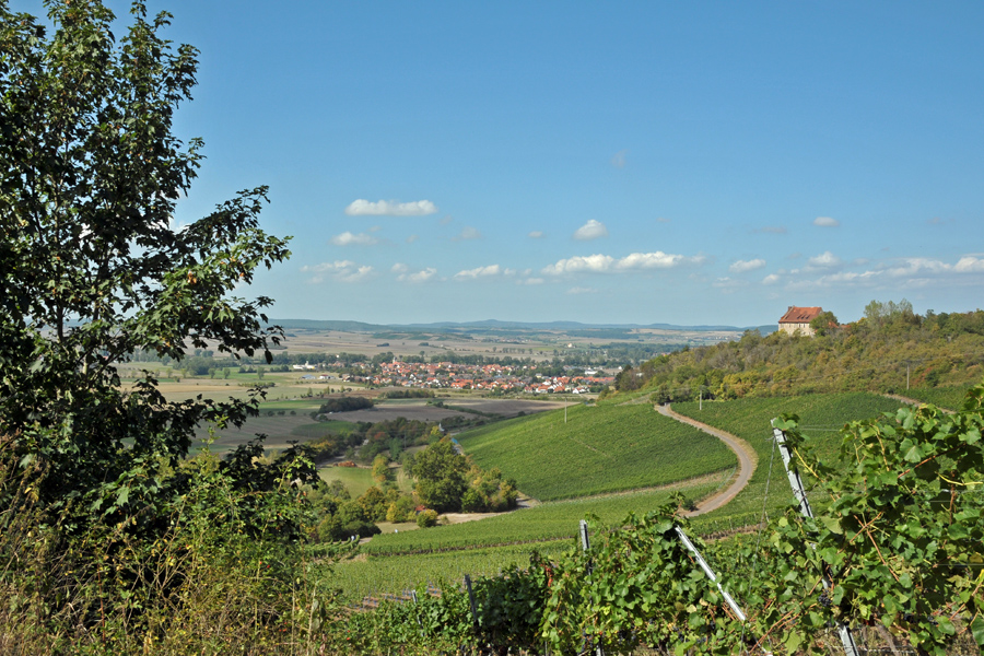 Blick vom Weinberg