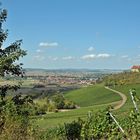 Blick vom Weinberg