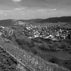 Blick vom Weinberg Dornburg nach Dorndorf-Steudnitz