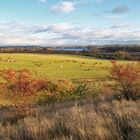 Blick vom Weinberg - November