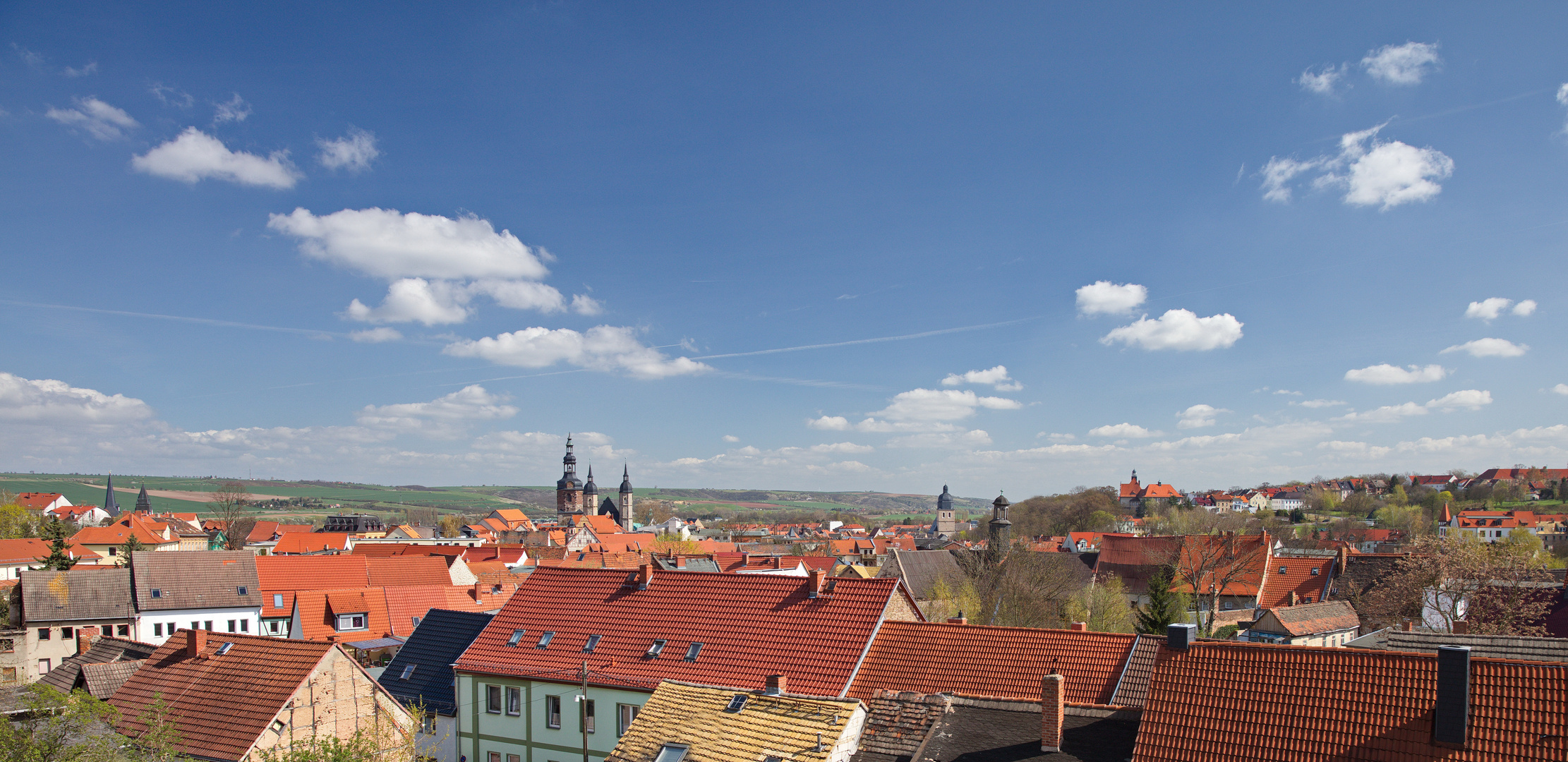 Blick vom Weinberg über die Lutherstadt Eisleben