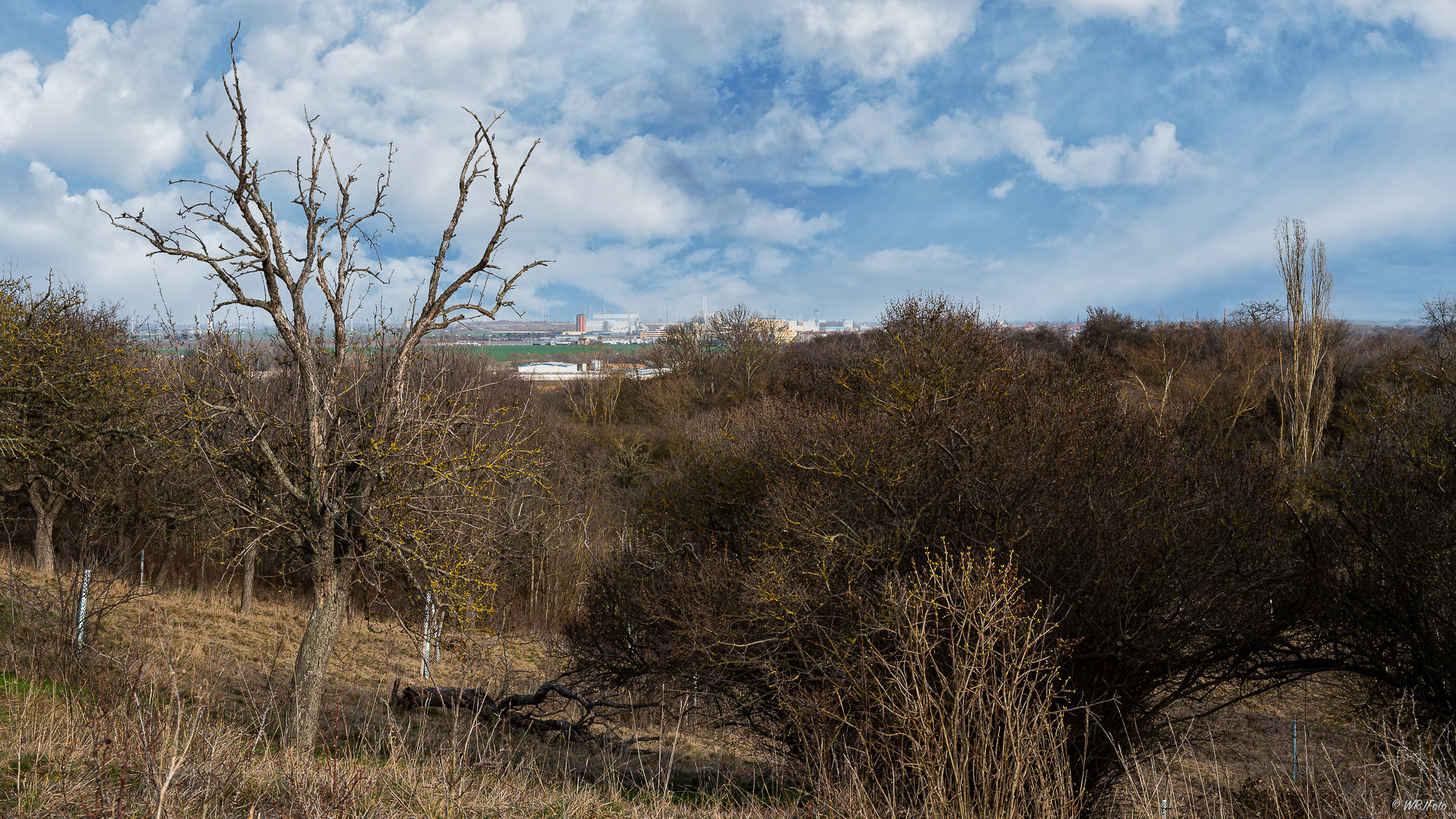 Blick vom Weinbergsgrund