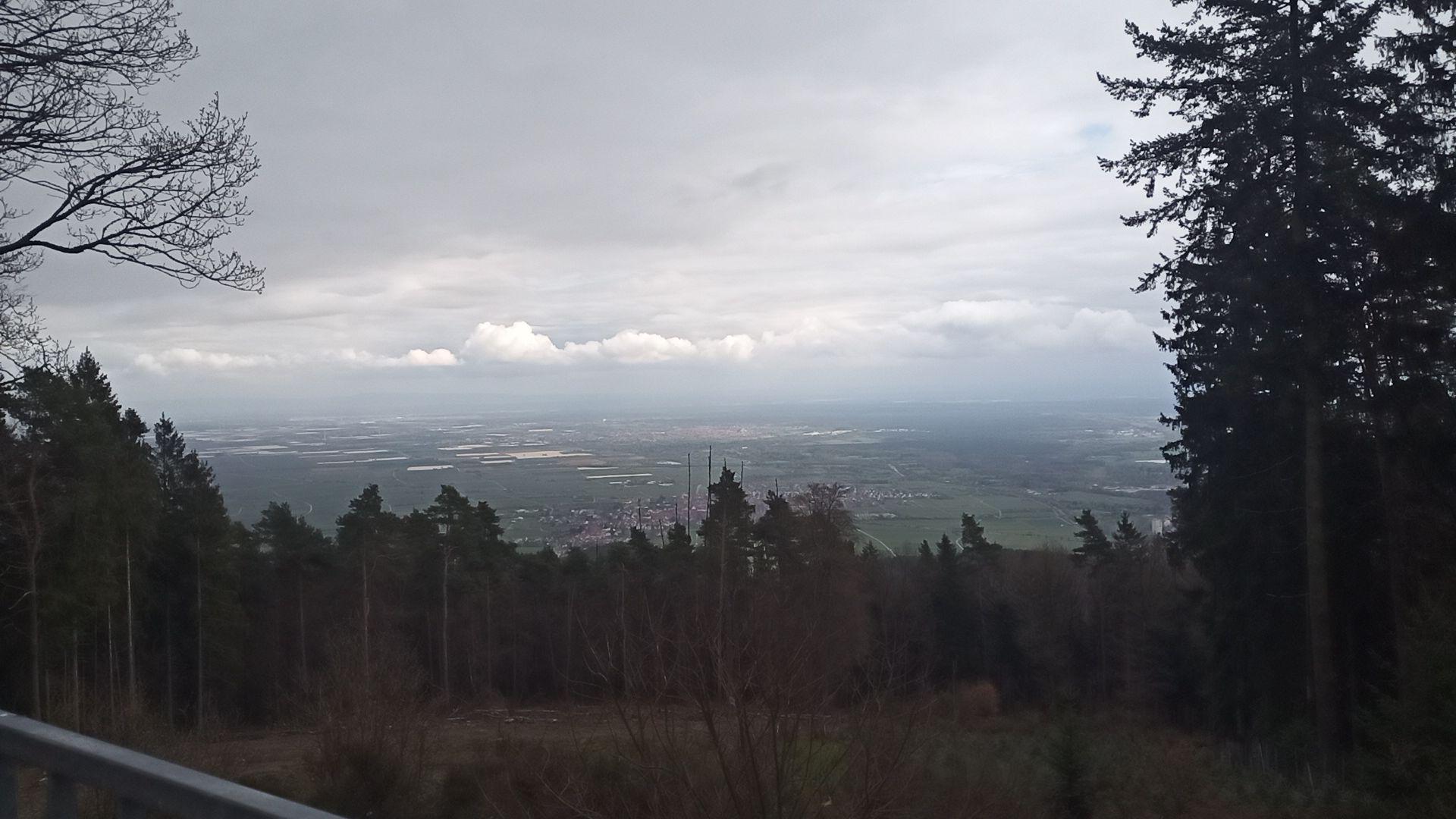 Blick vom Weinbiet in die Rheinebene