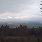 Blick vom Weinbiet in die Rheinebene