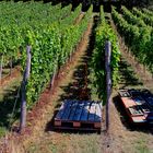 Blick vom Weingut Gaufer