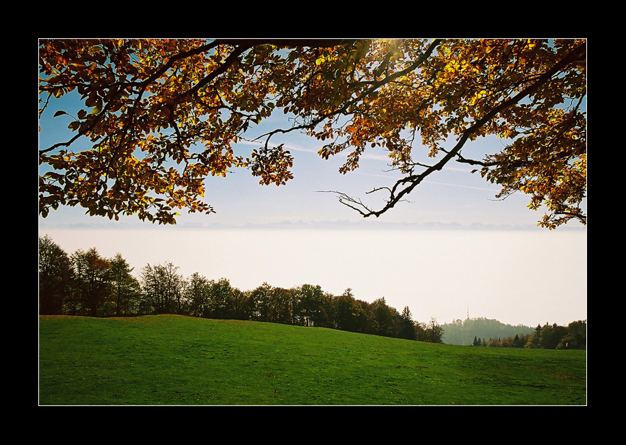 Blick vom Weissenstein.