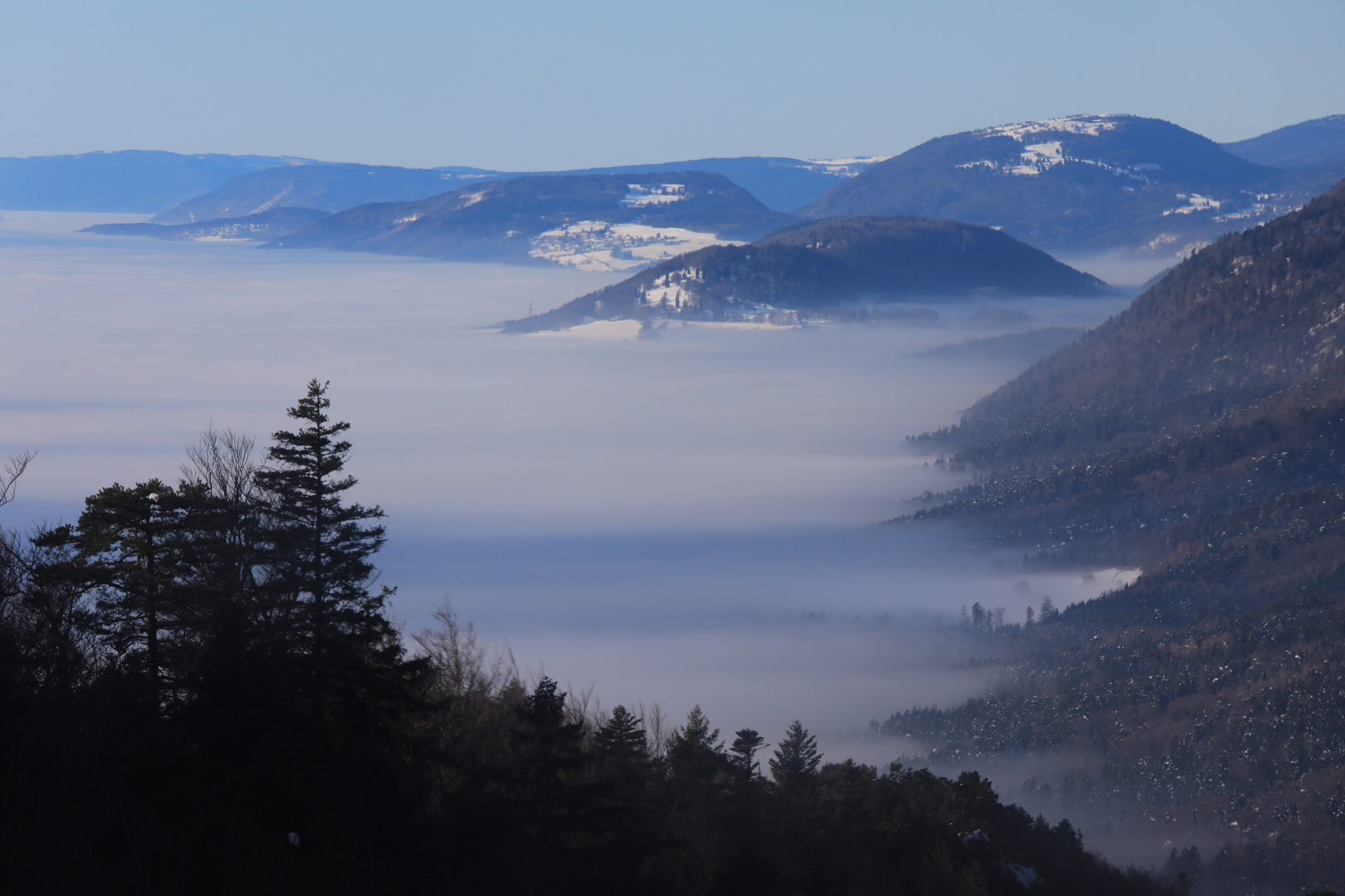 Blick vom Weissenstein auf die Jura-Kette