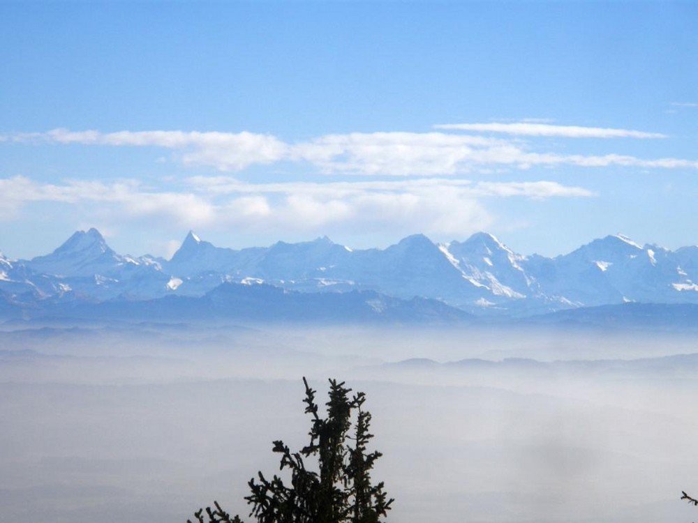 Blick vom Weissenstein in die Alpen