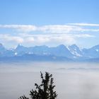 Blick vom Weissenstein in die Alpen